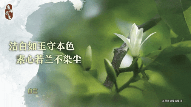 如何借助专业篮球教练提升个人声誉_2